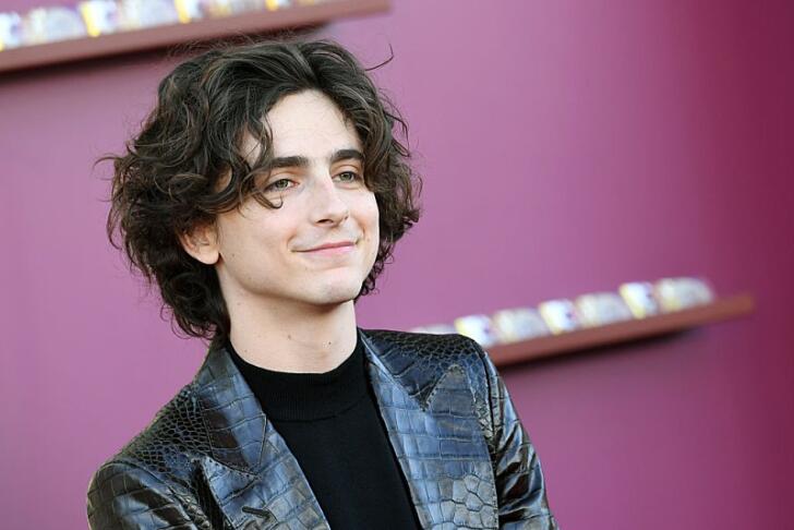 ティモシーシャラメの彼女は誰?恋愛遍歴や頭いいと言われる理由についても調査