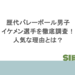 歴代バレーボール男子のイケメン選手を徹底調査!人気な理由とは?