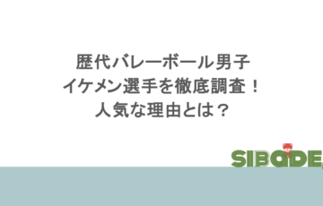 歴代バレーボール男子のイケメン選手を徹底調査!人気な理由とは?