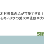 木村拓哉の犬が可愛すぎる!気になるキムタクの愛犬の値段や犬種は?