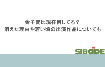 金子賢は現在何してる?消えた理由や若い頃の出演作品についても