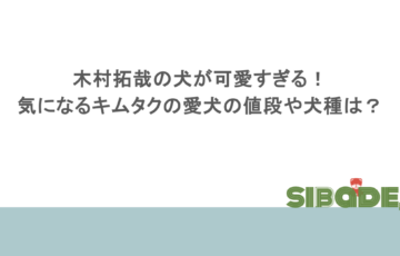 木村拓哉の犬が可愛すぎる！気になるキムタクの愛犬の値段や犬種は？