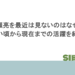 加瀬亮を最近は見ないのはなぜ？若い頃から現在までの活躍を紹介