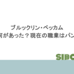 ブルックリン・ベッカムは家族と何があった？現在の職業はパン職人？