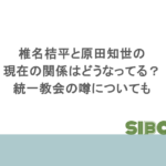 椎名桔平と原田知世の現在の関係はどうなってる？統一教会の噂についても